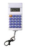 Canon KC-20 Basic Battery Keychain Mini Calculator